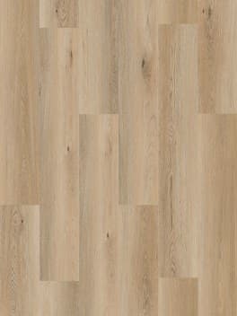 Oat Oak