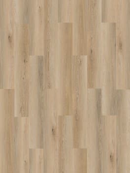 Oat Oak