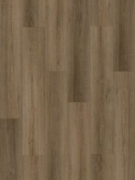 Umber Oak